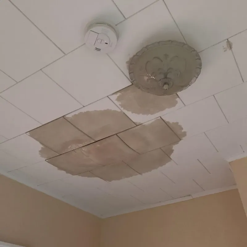 Ceiling Water Damage Repair in East Liverpool, OH