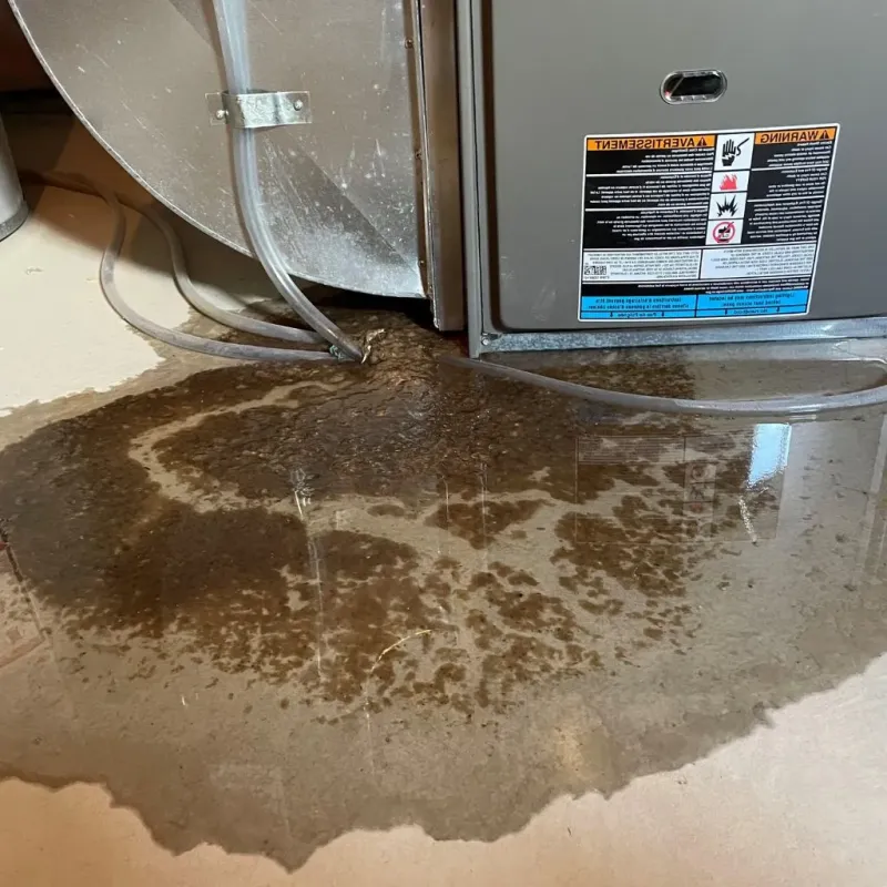 Pipe Burst and Leak Restoration in East Liverpool, OH